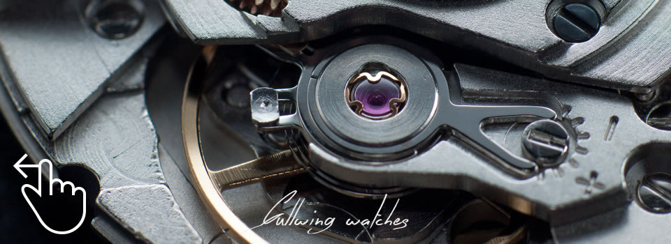 Gullwing Watches by Piccante Web Design